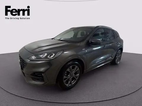 Used FORD KUGA Diesel 2021 Ad 