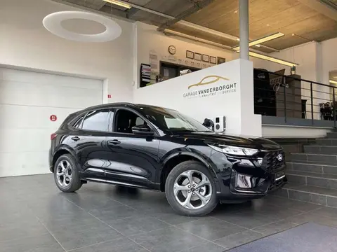 Annonce FORD KUGA Essence 2024 d'occasion 