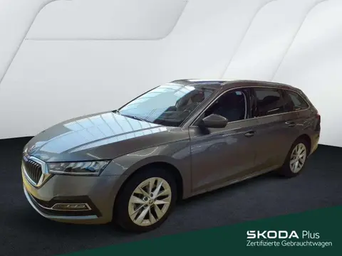 Annonce SKODA OCTAVIA Essence 2024 d'occasion 