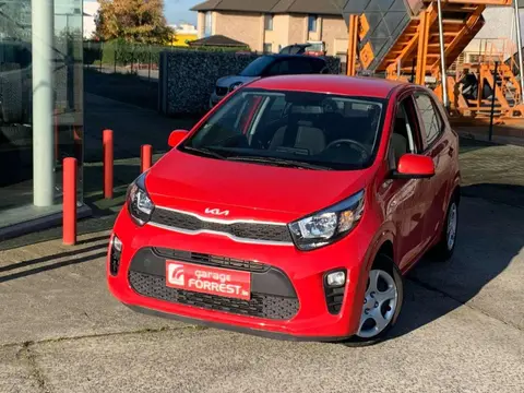 Annonce KIA PICANTO Essence 2019 d'occasion 