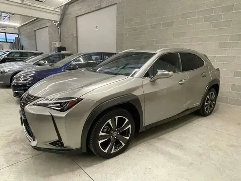 Used LEXUS UX Hybrid 2019 Ad 