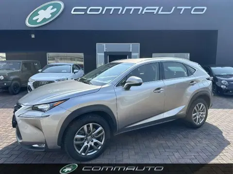 Used LEXUS NX Hybrid 2016 Ad 