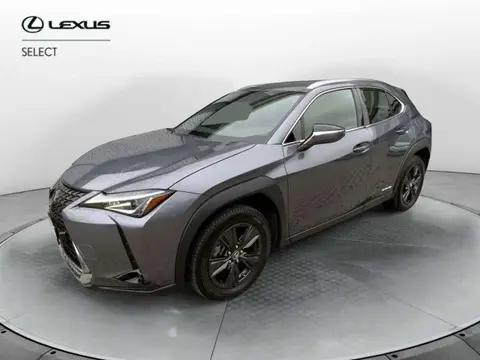 Used LEXUS UX Hybrid 2022 Ad 