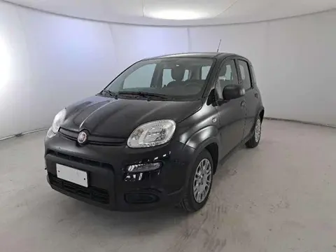 Annonce FIAT PANDA Hybride 2024 d'occasion 