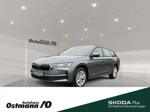 Used SKODA OCTAVIA Diesel 2024 Ad 