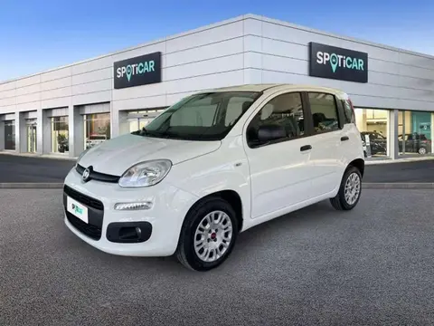 Used FIAT PANDA Petrol 2019 Ad 