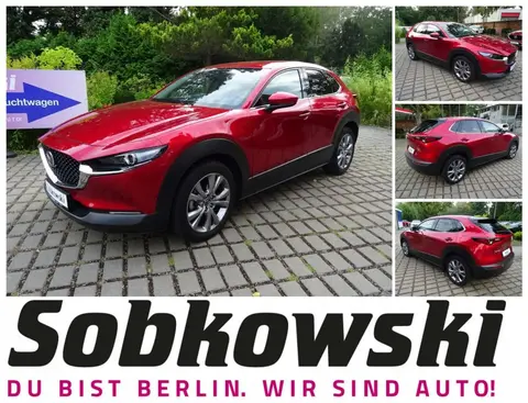 Used MAZDA CX-30 Petrol 2020 Ad 