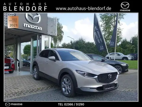 Annonce MAZDA CX-30 Essence 2024 d'occasion 