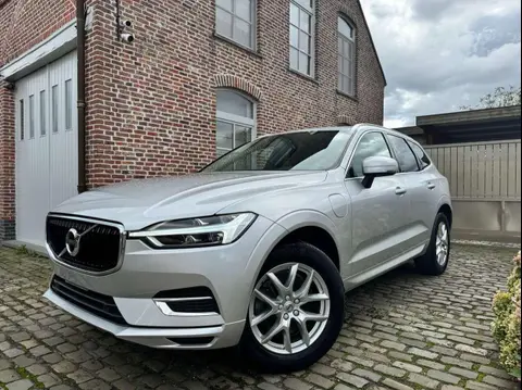 Used VOLVO XC60 Hybrid 2020 Ad 