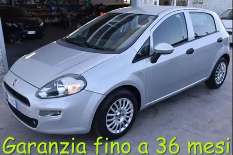 Annonce FIAT PUNTO Diesel 2017 d'occasion 