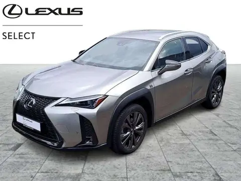 Annonce LEXUS UX Hybride 2023 d'occasion 