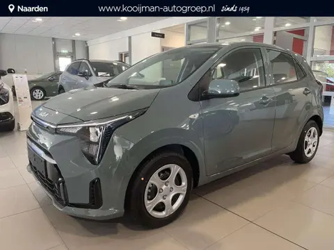 Used KIA PICANTO Petrol 2024 Ad 