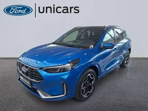 Annonce FORD KUGA Hybride 2024 d'occasion 