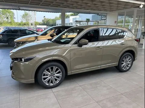 Annonce MAZDA CX-5 Diesel 2024 d'occasion 