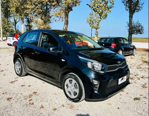 Annonce KIA PICANTO GPL 2019 d'occasion 