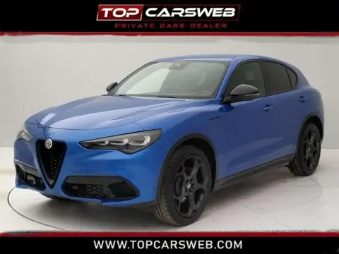 Used ALFA ROMEO STELVIO Diesel 2023 Ad 