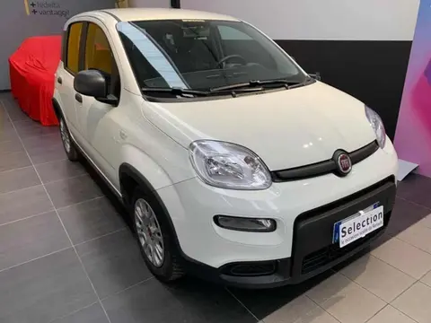 Annonce FIAT PANDA Hybride 2022 d'occasion 