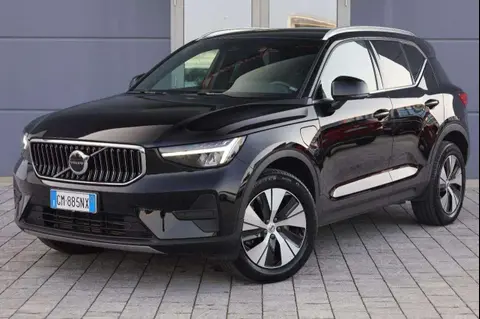 Used VOLVO XC40 Hybrid 2023 Ad 