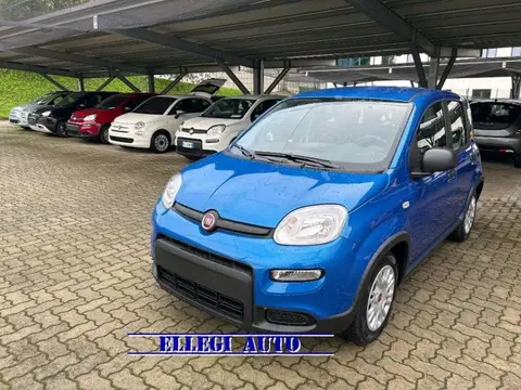 Used FIAT PANDA Hybrid 2024 Ad 