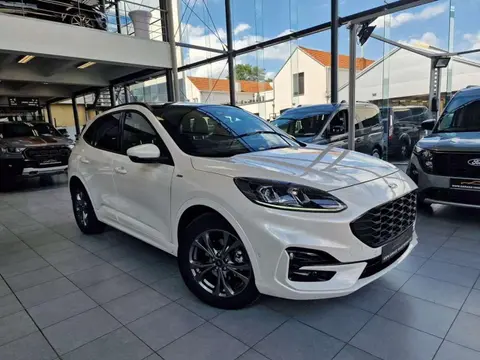 Annonce FORD KUGA Hybride 2023 d'occasion Belgique