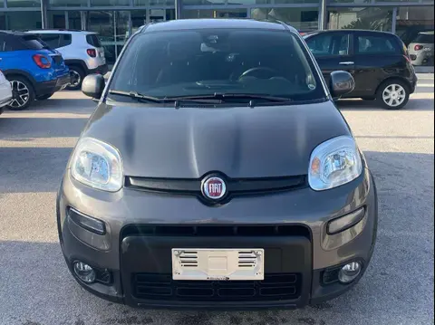 Annonce FIAT PANDA Hybride 2021 d'occasion 