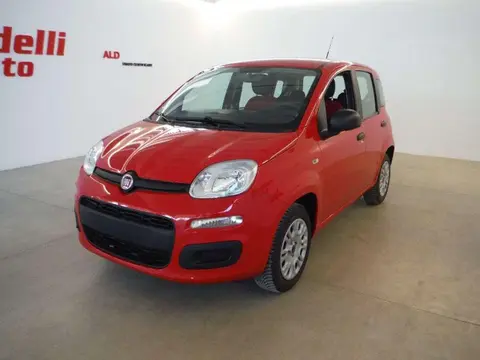 Used FIAT PANDA Petrol 2019 Ad 