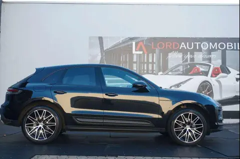 Used PORSCHE MACAN Petrol 2024 Ad 