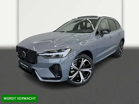 Used VOLVO XC60 Hybrid 2023 Ad 