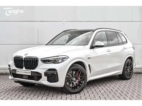 Used BMW X5 Hybrid 2021 Ad 