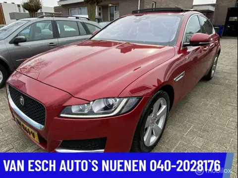 Used JAGUAR XF Diesel 2017 Ad 