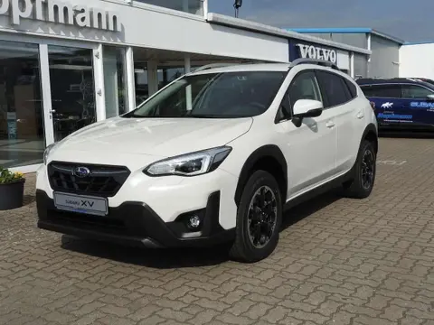 Used SUBARU XV Petrol 2023 Ad 