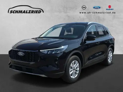 Annonce FORD KUGA Hybride 2024 d'occasion 