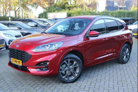 Used FORD KUGA Hybrid 2024 Ad 