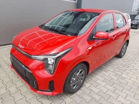 Annonce KIA PICANTO Essence 2024 d'occasion 