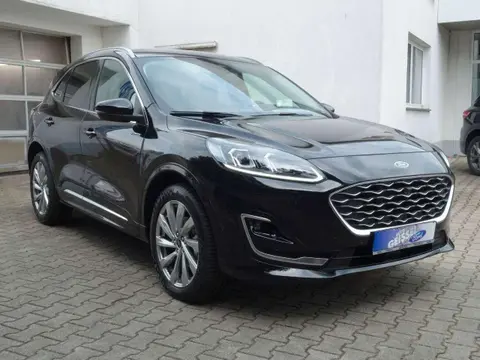 Used FORD KUGA Hybrid 2023 Ad 