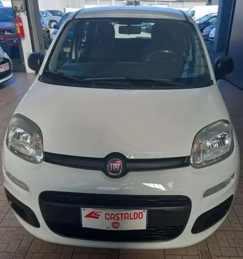 Used FIAT PANDA Petrol 2020 Ad 