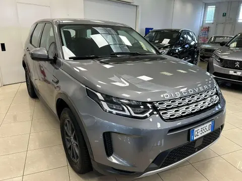 Used LAND ROVER DISCOVERY Hybrid 2021 Ad 