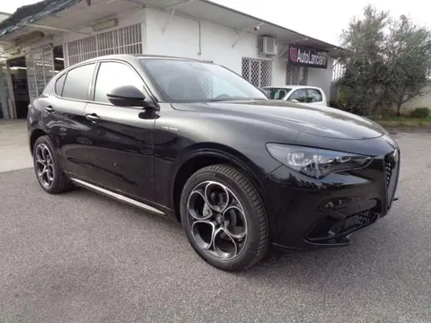 Annonce ALFA ROMEO STELVIO Diesel 2023 d'occasion 