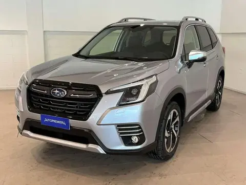 Annonce SUBARU FORESTER Hybride 2024 d'occasion 