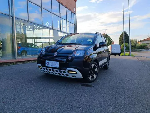 Annonce FIAT PANDA Hybride 2024 d'occasion 