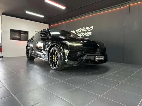 Used LAMBORGHINI URUS Petrol 2021 Ad 