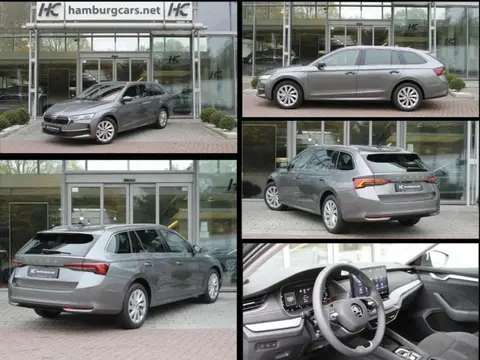 Used SKODA OCTAVIA Petrol 2024 Ad 