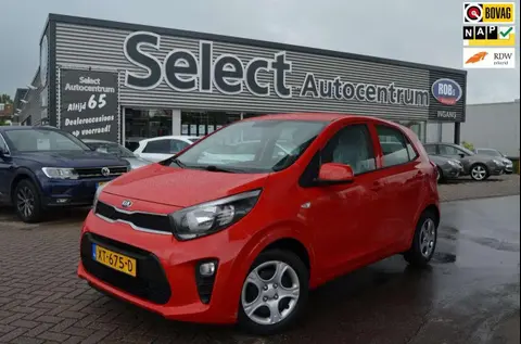 Annonce KIA PICANTO Essence 2019 d'occasion 