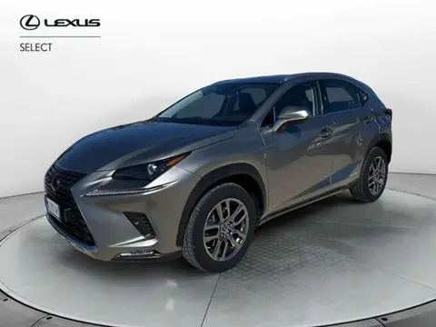 Annonce LEXUS NX Hybride 2020 d'occasion 