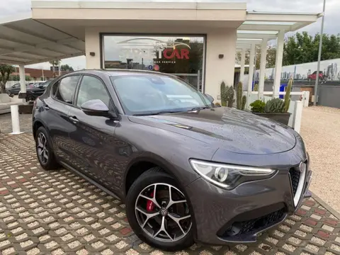 Used ALFA ROMEO STELVIO Diesel 2020 Ad 