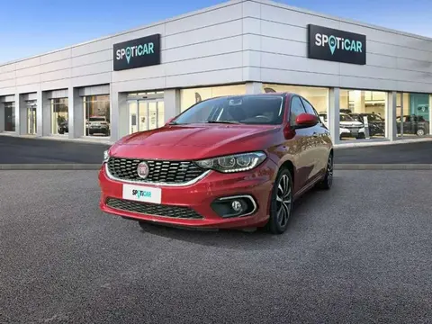 Used FIAT TIPO LPG 2018 Ad 