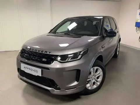 Used LAND ROVER DISCOVERY Hybrid 2021 Ad 