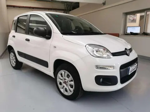 Used FIAT PANDA Petrol 2020 Ad 