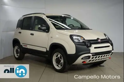 Annonce FIAT PANDA Essence 2024 d'occasion 