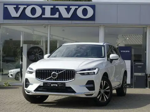 Annonce VOLVO XC60 Hybride 2023 d'occasion 